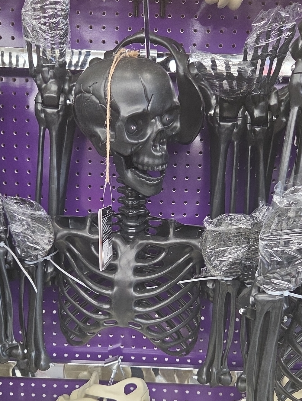 Black Plastic Skeleton Wall Decoration for Halloween